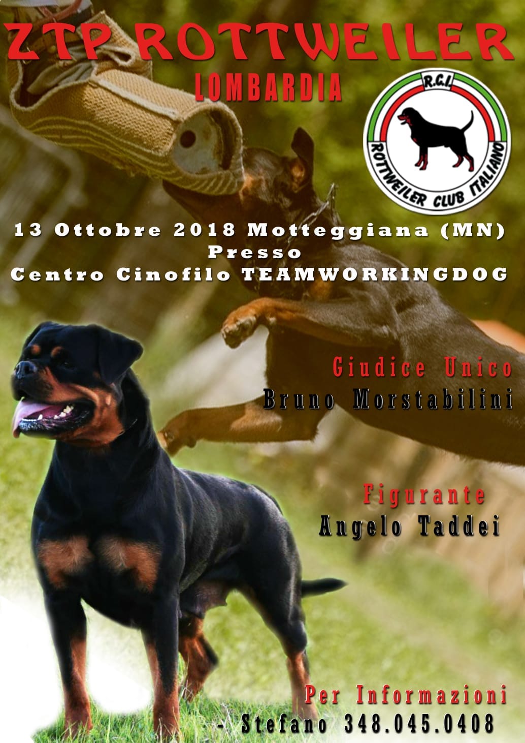 ZTP Lombardia 13/10/18 Motteggiana - Rottweiler Club Italiano