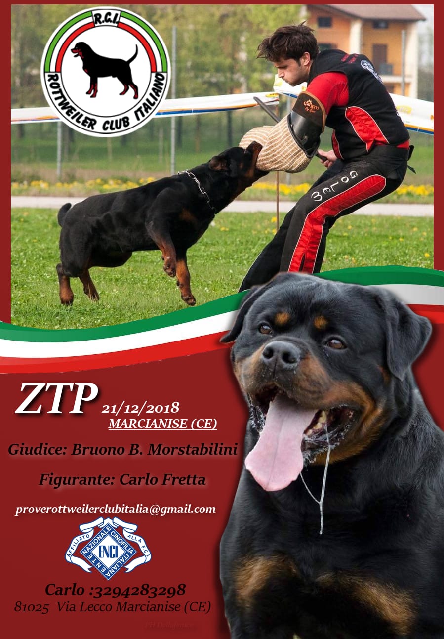 ZTP Marcianise 21/12/18 - Rottweiler Club Italiano